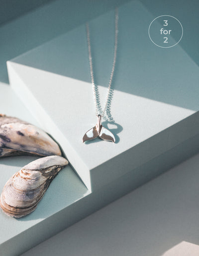 The Sea Shed, Sterling Silver Whale Tail Pendant Necklace and Gift Box, Aqua Beach, Beach Jewellery