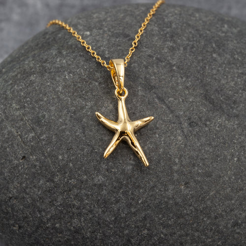 The Sea Shed Sterling Silver & Gold Vermeil Porthmeor Starfish